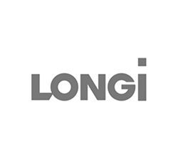 longi_cinza